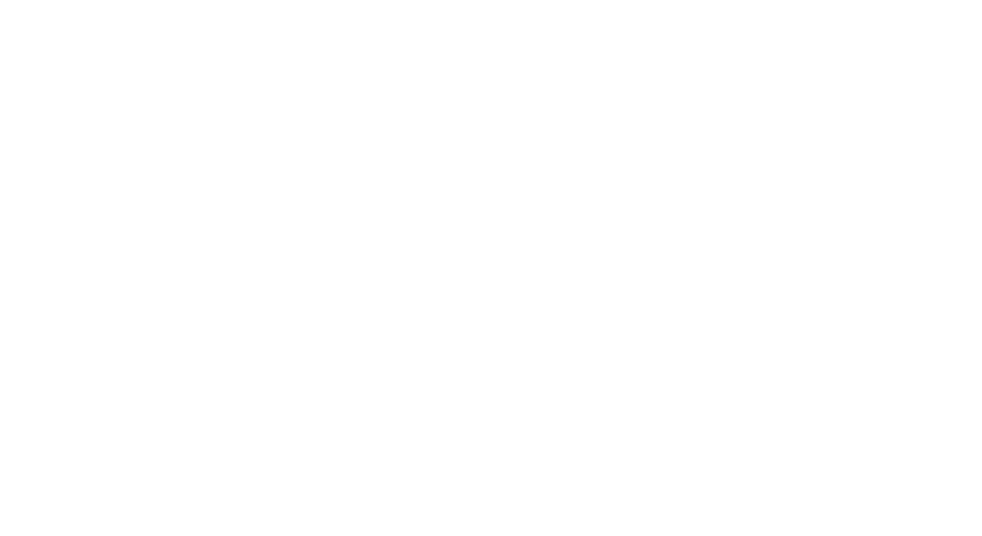 SWC Action — Iran Report